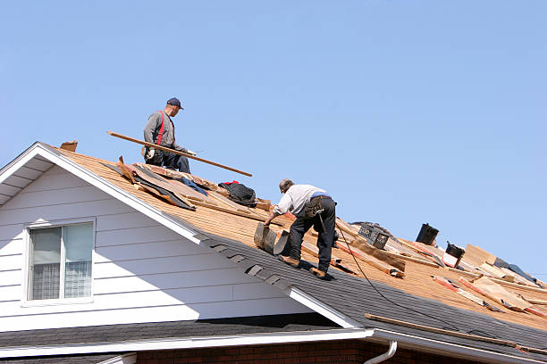 Best Skylight Installation and Repair  in Brookland, AR